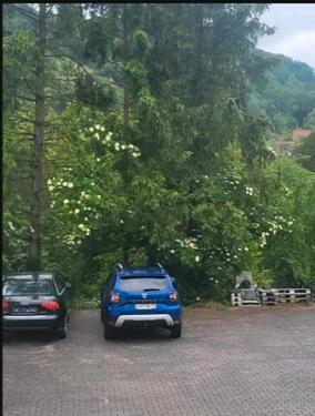 Foto - Etagenwohnung in Forchtenberg zur Miete