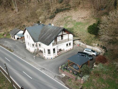 Foto - 10 Zimmer Doppelhaushälfte zum Kaufen in Neumagen-Dhron