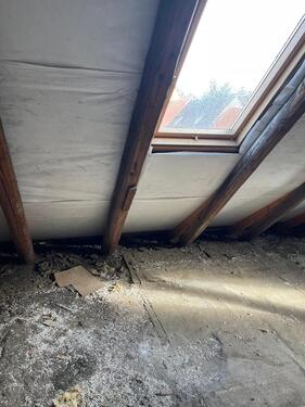 Foto - Einfamilienhaus in Apolda