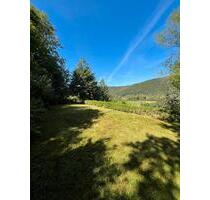 Freizeitgrundstück zu verpachten - Edersee - ab sofort !!! - Edertal