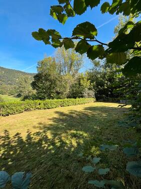 Foto - Grundst&uuml;ck in Edertal zur Miete