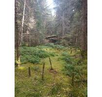 Hütte im Wald Nähe Kempten - 30.000,00 EUR Kaufpreis, in Kempten (Allgäu) (PLZ: 87437) Auf dem Lindenberg
