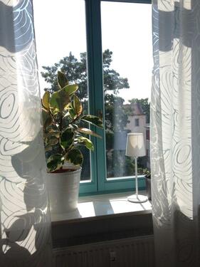 Foto - Schnuckelige 1-Raum-Wohnung möbeliert, sehr hell, in Top-Lage