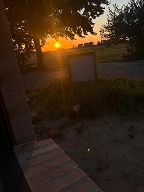Foto - Einfamilienhaus in Greifswald zur Miete
