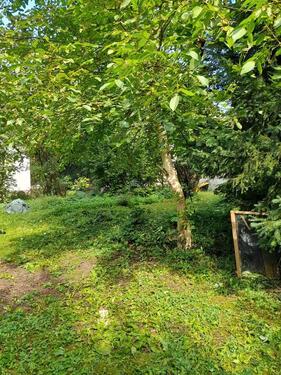 Foto - Gartengrundstück Garten zu vermieten