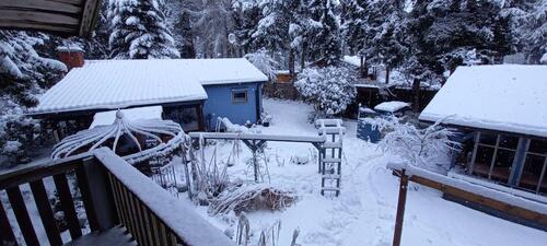 Foto - Einfamilienhaus zum Kaufen in Bienenbüttel