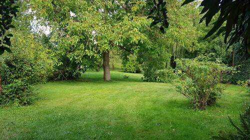 Foto - Einfamilienhaus in Meißner zur Miete