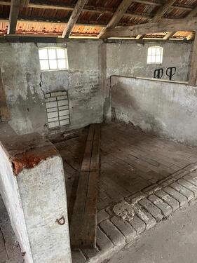 Foto - andere in Diepholz