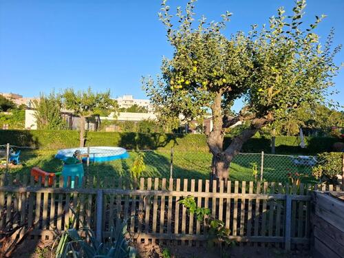 Foto - Garten abzugeben - 600,00 EUR Kaltmiete, ca.  0,00 m²