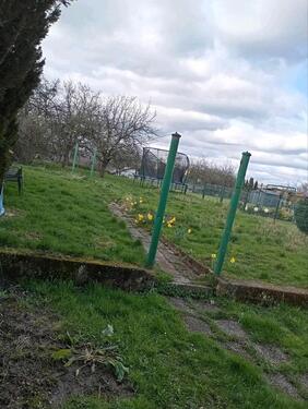 Foto - 7 Zimmer Einfamilienhaus zur Miete in Blieskastel