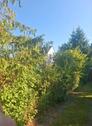 Foto - 5 Zimmer Einfamilienhaus in Braunschweig