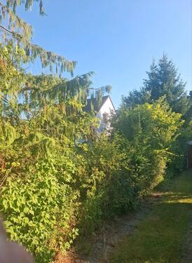 Foto - 5 Zimmer Einfamilienhaus in Braunschweig