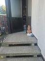 Foto - Einfamilienhaus in Braunschweig zum Kaufen