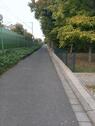 Foto - andere in Mainz zur Miete