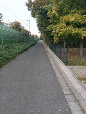 Foto - andere in Mainz zur Miete