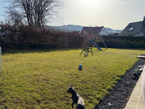 Foto - 5 Zimmer Einfamilienhaus zum Kaufen in Bestwig