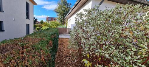 Foto - Einfamilienhaus in Werder (Havel) zum Kaufen