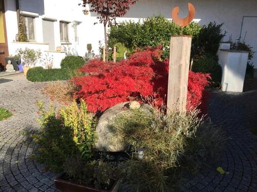Foto - 2 Zimmer Erdgeschoßwohnung zur Miete in Wechingen