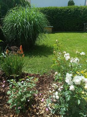 Foto - Einfamilienhaus in Saarbrücken zum Kaufen