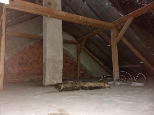Foto - Einfamilienhaus zum Kaufen in Wurmannsquick