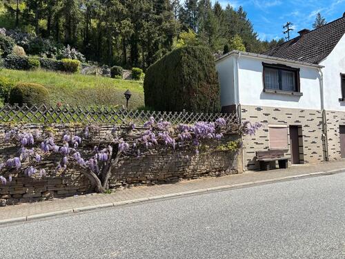 Foto - 6 Zimmer Einfamilienhaus zum Kaufen in Callbach