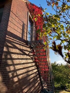 Foto - Dachgeschosswohnung 25 qm im Reihenendhaus Marienburger Höhe