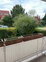Foto - 3 Zimmer Hochparterre zum Kaufen in Bielefeld