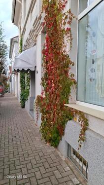 Foto - 2-Raum-Wohnung ohne Balkon - 450,00 EUR Kaltmiete,