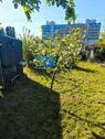 Foto - Grundst&uuml;ck in Magdeburg