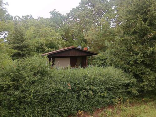 Foto - Wochenendehaus an der Elbe - 40.000,00&nbsp;EUR Kaufpreis, ca.&nbsp; 50,00&nbsp;m&sup2;
