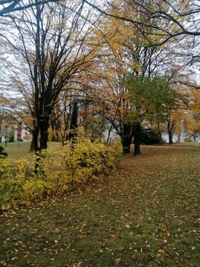 Foto - Etagenwohnung in Heilbronn zum Kaufen