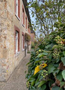 Foto - 1 Zimmer Erdgeschoßwohnung zur Miete in Aachen