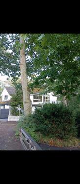 Foto - 4 Zimmer Einfamilienhaus zum Kaufen in Timmendorfer Strand