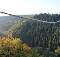 Ferienwohnung Hunsrück Hängeseilbrücke Mosel 2 DZ - Beltheim
