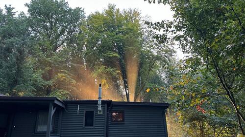 Foto - Lindhorster Heide Stilvolles Waldhaus mit Potenzial auf 2500m²