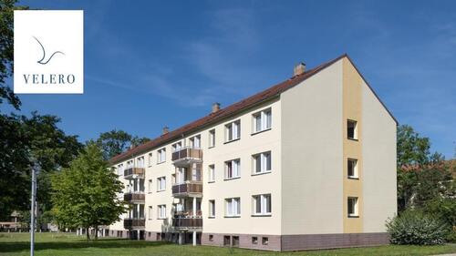 Foto - Endlich Platz für dich und deine Pflanzen.