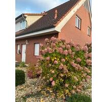 Niedrig Energie, Reihenendhaus Erbaut 112001 in BS Wenden - Braunschweig Wabe-Schunter-Beberbach