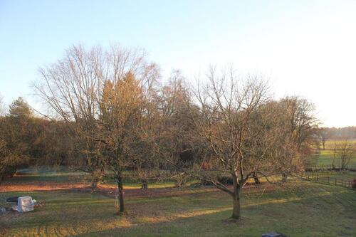 Foto - 6 Zimmer Etagenwohnung zur Miete in Suderburg