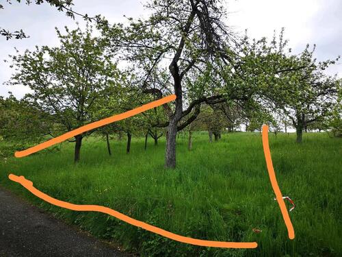 Foto - Wiese Garten Freizeitgrundstück Stückle Streuobstwiese