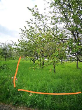Foto - Grundstück zur Miete in Remshalden