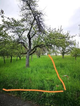 Foto - Grundstück in Remshalden
