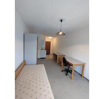 Möbilierte 1-Zimmerwohnung in MANNHEIM-Neckarau, inkl Stellplatz - Darmstadt Darmstadt-Nord