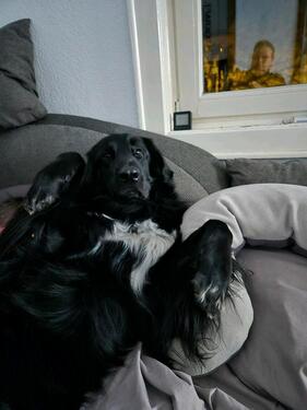 Foto - Kleines Haus oder Erdgeschosswohnung