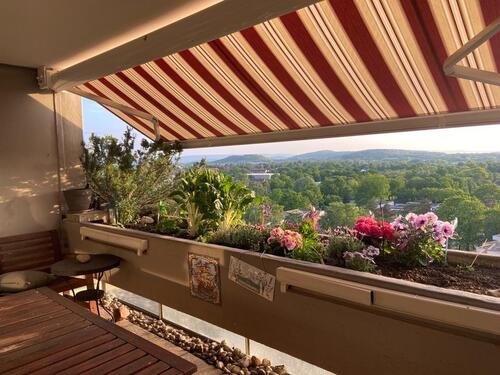 Foto - Kleines Paradies über den Dächern der Stadt