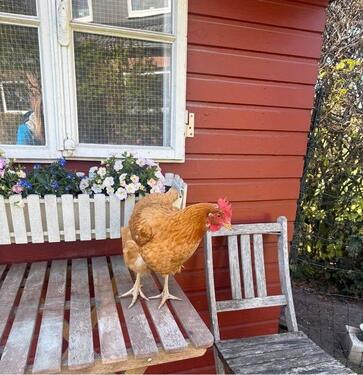 Foto - Ankommen und wohlfühlen: Ihr neues Zuhause