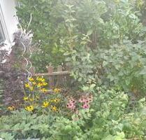 Nachmieter ab 01.11 25 für 3-Zimmer-Wohnung mit Garten in Thiede - Salzgitter Ortschaft Ost