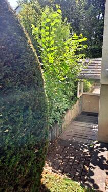 Foto - Etagenwohnung in Bonn