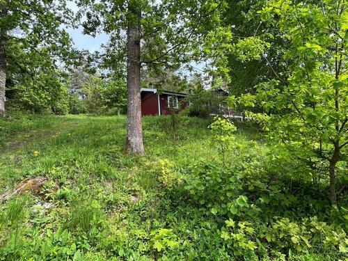 Foto - andere in Hesel