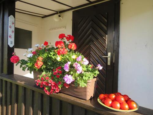 Foto - andere in Adorf/Vogtland zur Miete