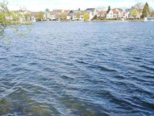 Foto - Frankfurt: Schöne, helle 3ZW Nähe Main, Park u. S-Bhf in 6-FH